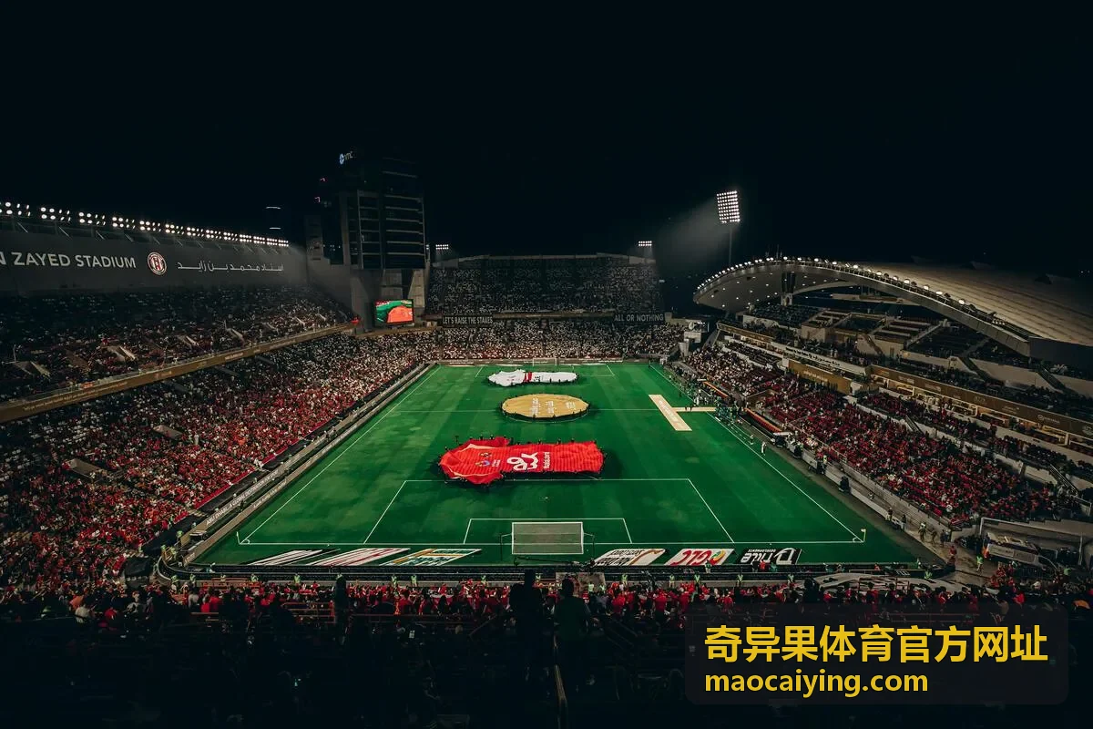 奇异果体育官方网址 会员等级说明配图
